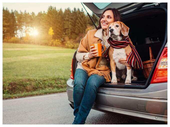 benefits of sleeping with dog: உங்க வீட்டு செல்லப்பிராணியுடன் சேர்ந்து தூங்கினால் என்னென்ன நன்மைகள் கிடைக்கும்... - scientific health benefits of sleeping with your dog in tamil 9 samayam tamil Tamil News Spot