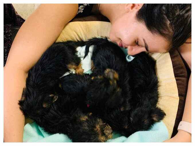 benefits of sleeping with dog: உங்க வீட்டு செல்லப்பிராணியுடன் சேர்ந்து தூங்கினால் என்னென்ன நன்மைகள் கிடைக்கும்... - scientific health benefits of sleeping with your dog in tamil 3 samayam tamil Tamil News Spot