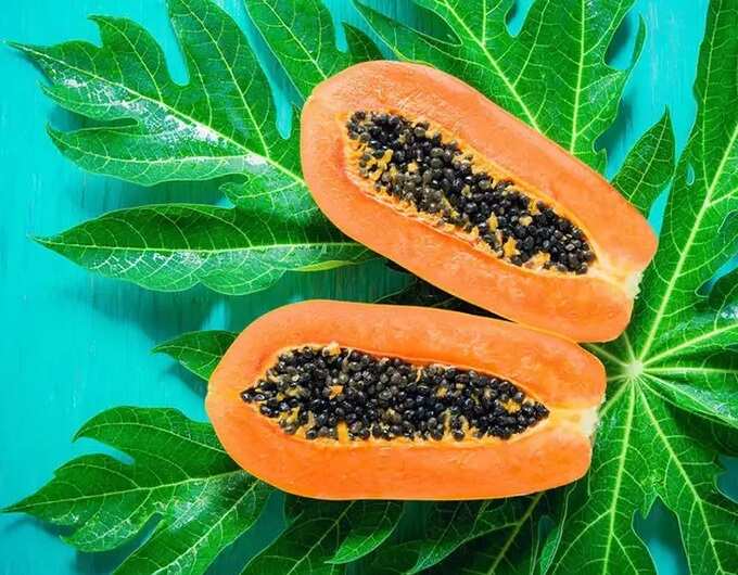 how to use papaya leaf in tamil: பப்பாளி இலை டெங்கு மட்டுமில்ல, இன்னும் எத்தனை நோய்க்கு மருந்தாகுதுன்னு பாருங்க! - benefits and uses of papaya leaf juice in tamil 7 samayam tamil Tamil News Spot