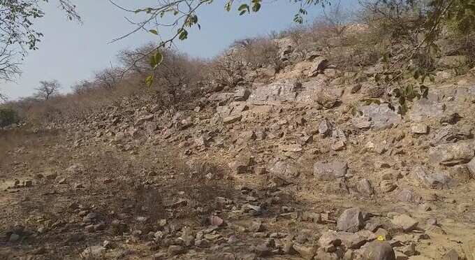 Mathura News: Illegal occupation of land mafia on 6958 square meter land of Govardhan mountain and forest department Mathura News: Illegal occupation of land mafia on 6958 square meter land of Govardhan mountain and forest department