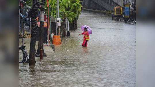 पावसाच्या पाण्यातून चाललात? लेप्टोवरील औषधे घ्याच