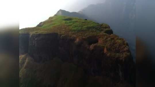 केंजळगडावर ट्रेकिंग करताना १० वर्षांचा मुलगा थेट २०० फूट खोल दरीत कोसळला!