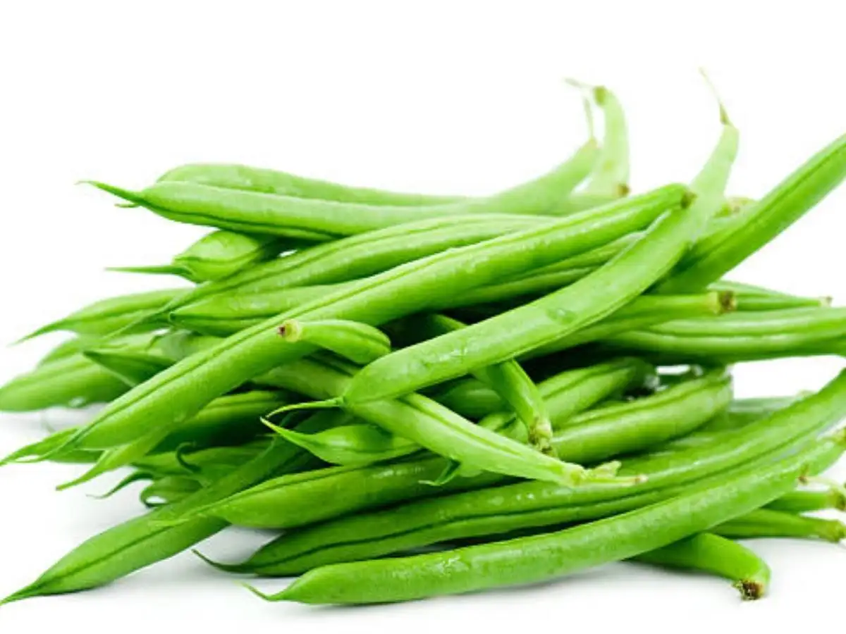 Eczema Home Remedies Itching Home Remedies À¤à¤¨ 8 À¤à¤° À¤² À¤¨ À¤¸ À¤ À¤¸ À¤® À¤¨à¤ À¤® À¤¦ À¤° À¤¹ À¤ À¤ À¤à¤² À¤à¤° À¤¸ À¤à¤¨ À¤¬à¤ À¤ À¤ª À¤¸ À¤à¤° À¤¨à¤¹ À¤¹ À¤ À¤ À¤« À¤ À¤¶à¤¨ Navbharat Times