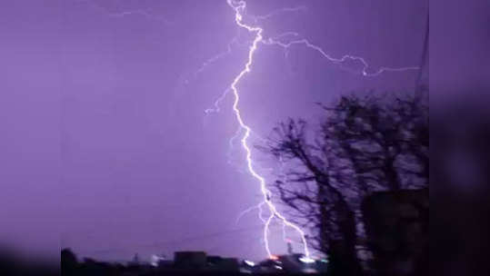 Palghar Lightning Strikes धक्कादायक: मोबाइल नेटवर्कसाठी विद्यार्थी झाडावर चढले होते; वीज कोसळली आणि...