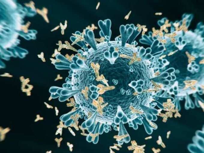 can delta variant infect vaccinated people: Delta Plus : वॅक्सिन घेतलेले लोक देखील होत आहेत 'या' भयंकर विषाणूचे शिकार! कोणाला आहे सर्वाधिक धोका?