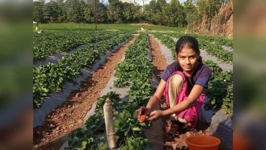 शेतकऱ्यांसाठी आनंदाची बातमी! दुबार पेरणीची गरज पडल्यास 'ही' कंपनी मोफत करणार मदत