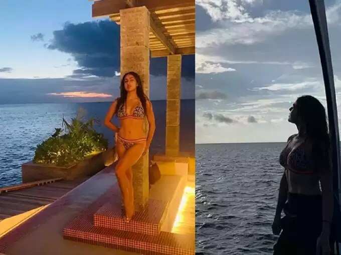 bollywood celebs bold and hot bikini looks: अॅनिमल प्रिंट बिकिनीमधील बॉलिवूड अभिनेत्रींचा हॉट व बोल्ड लुक, फोटो पाहून चाहते झाले फिदा