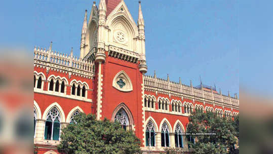 calcutta high court : ममता सरकारवर हायकोर्टाचे ताशेरे; 'निवडणुकीनंतर हिंसाचार झाला, आता पळ काढताय'