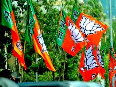 'কেন্দ্র দার্জিলিং নিয়ে অন্য কিছু ভাবছে', BJP সাংসদের মন্তব্যে চাঞ্চল্য 