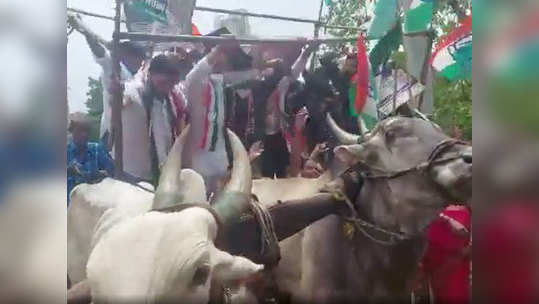 Mumbai Congress Protest: बैलगाडी मोडली, काँग्रेस नेते कोसळले; भाजपने दोन बैलांकडे दाखवले बोट!