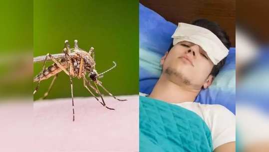 Zika Virus : कोविडबरोबरच ‘झिका’चाही धोका वाढणार? जाणून घ्या या आजाराची गंभीर लक्षणं