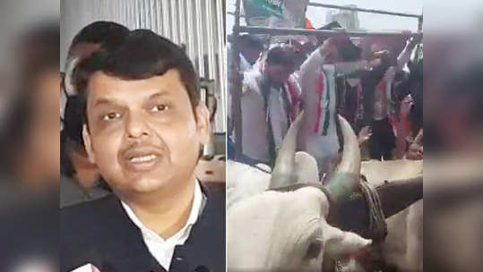 Devendra Fadnavis: 'राहुल गांधींना राष्ट्रीय नेता म्हटलेलं 'त्या' दोन्ही बैलांना आवडलं नसेल!'