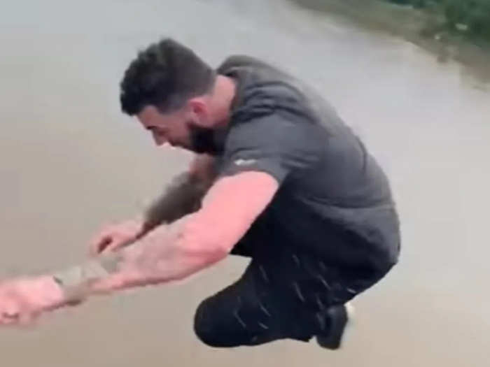 Man jumps into alligator-infested waters