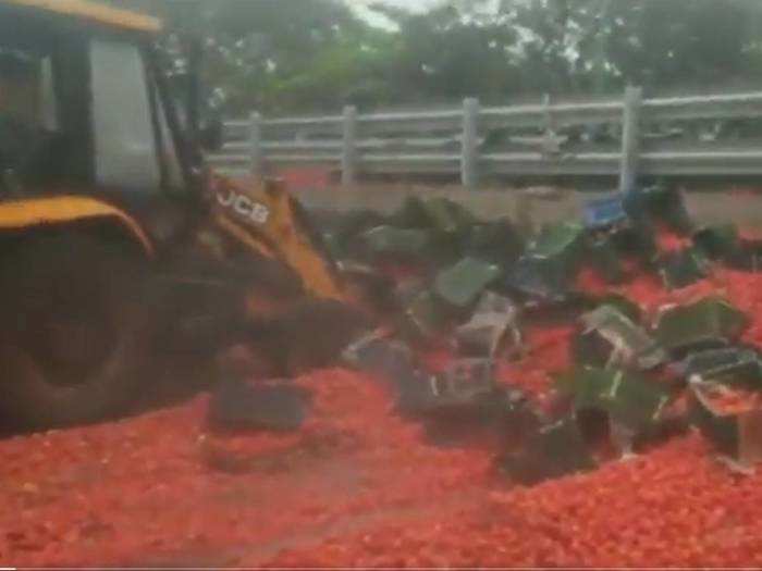 20 tonnes of tomatoes