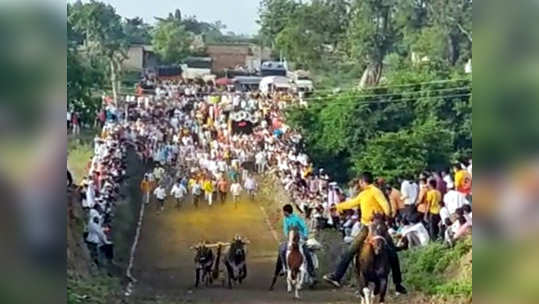 बंदी असतानाही पारनेरमध्ये बैलगाडा शर्यत, माहिती मिळताच तहसीलदार आले, पण...