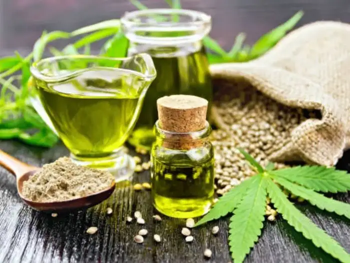 Benefits of Cannabis: cannabis for weight loss or heart disease and know  health benefits of bhang ganja - Cannabis Benefits: नशे की बजाए औषधि के रूप  में करें भांग का प्रयोग, दूर