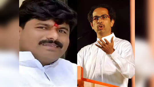 padalkar criticizes cm thackeray: मुख्यमंत्री स्वत: गाडी चालवत पंढरपूरला गेले; पडळकरांनी साधला निशाणा