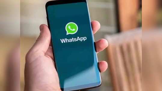 भन्नाट ट्रिक! ब्लू टिक बंद आहे ? WhatsApp मेसेज वाचला की नाही असे घ्या जाणून