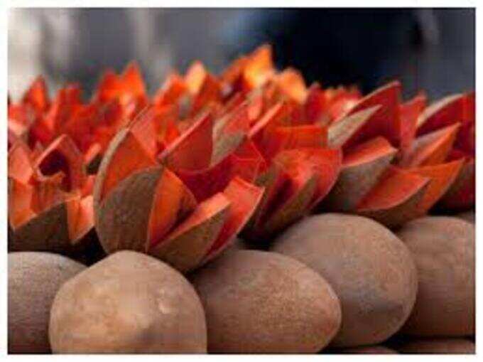 sapota eating benefits: சப்போட்டா பிடிக்காதா? இத படிங்க... அப்புறம் தினமும் சாப்பிட ஆரம்பிச்சிடுவீங்க... 4 samayam tamil Tamil News Spot