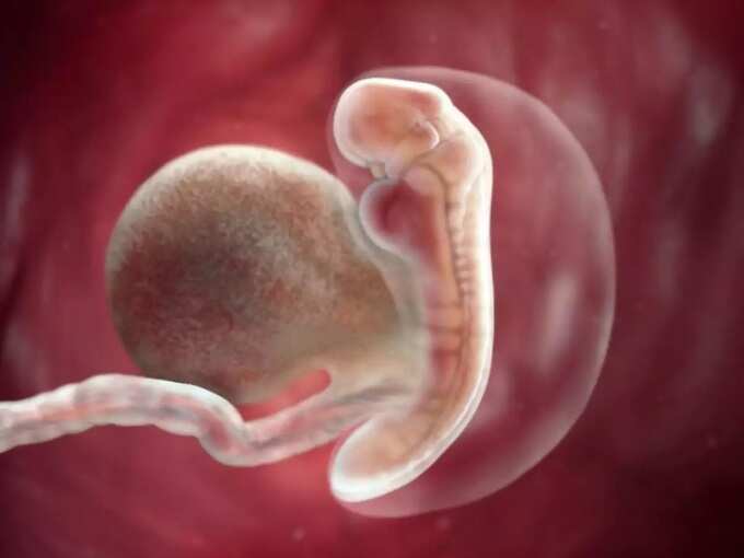 what is miscarriage in tamil: கருக்கலையும் ஆபத்து கர்ப்பிணிக்கு எப்போது வரை இருக்கும், யாரெல்லாம் எச்சரிக்கையாக இருக்க வேண்டும்! 4 samayam tamil Tamil News Spot