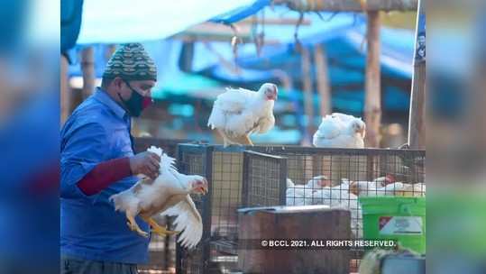 मांसाहारबंदीचा मुद्दा मूलभूत हक्कांशी निगडित