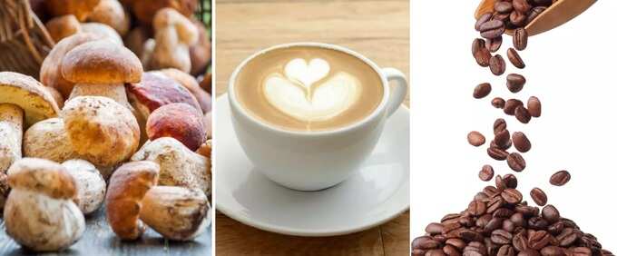 health benefits of mushroom coffee in tamil: Mushroom Coffee: ட்ரெண்டாகி வரும் மஷ்ரூம் காஃபி, அற்புதமான நன்மைகளை தரும் இதை வீட்டிலேயே எப்படி தயாரிக்கிறது? 8 samayam tamil Tamil News Spot