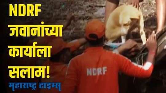 Kolhapur Flood | हे दृश्य बघून तुम्ही NDRF जवानांना सॅल्यूट कराल!