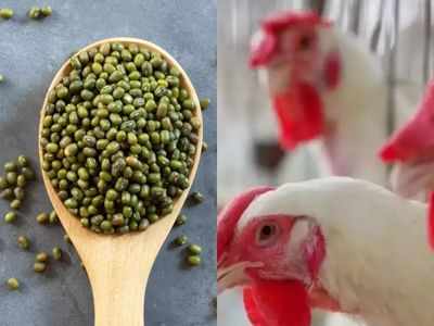 Protein Week 2021: मूंग दाल या चिकन? जानें किसको खाकर मिलता है शरीर को सबसे ज्‍यादा प्रोटीन 