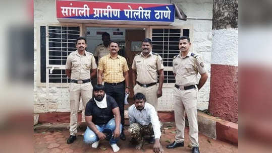 Sangli Crime सांगली: टायगर ग्रुपच्या शहराध्यक्षासह दोघांना बेड्या; 'त्या' धक्कादायक घटनेनंतर होते फरार