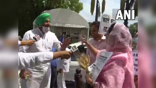 VIDEO: संसदेसमोरच विरोधी काँग्रेस-अकाली दलाचे नेते एकमेकांना भिडले