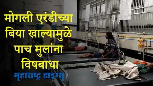 खेळताना मोगली एरंडीच्या बिया खाल्याने पाच मुलांना विषबाधा, उपचार सुरु