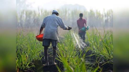 हवामान बदलाचा राज्यभरातील शेतीवर परिणाम; ७७ टक्के पीकक्षेत्राला फटका