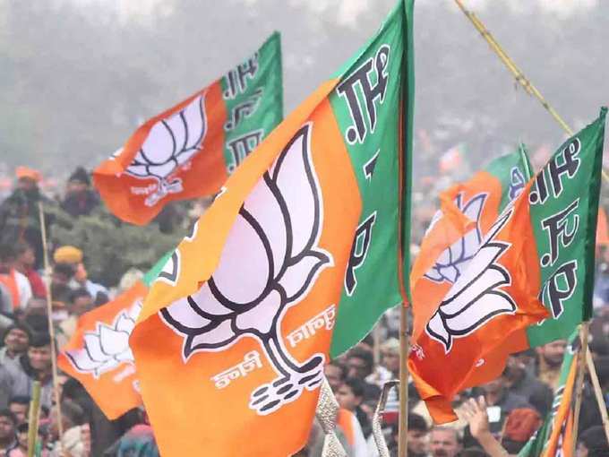 BJP-Flags