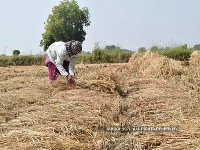 Pm Kisan Status Check Process To Check Pm Kisan Samman Nidhi Beneficiery Status प एम क स न स क म क 9व क स त ज र ह च क ह Navbharat Times