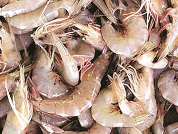 prawn eating benefits: மழைக்காலங்களில் இறால் சாப்பிடலாமா? நல்லதா கெட்டதா? 7 samayam tamil Tamil News Spot