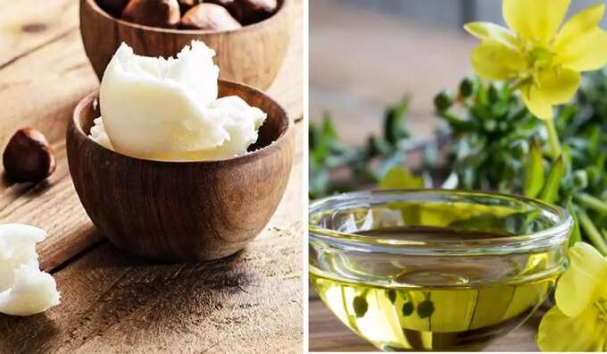 இரவு நேர க்ரீம்கள்: முகத்தை ஜொலிக்க வைக்கும் நைட் க்ரீம், வீட்டிலேயே தயாரிக்கும் 7 விதமான நைட் க்ரீம் ரெசிபி! 7 samayam tamil Tamil News Spot