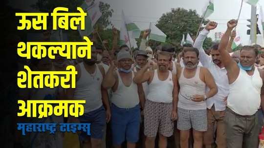 Farmers Protest | भाजप खासदाराच्या साखर कारखान्याने ऊस बिले थकवल्याने शेतकरी आक्रमक