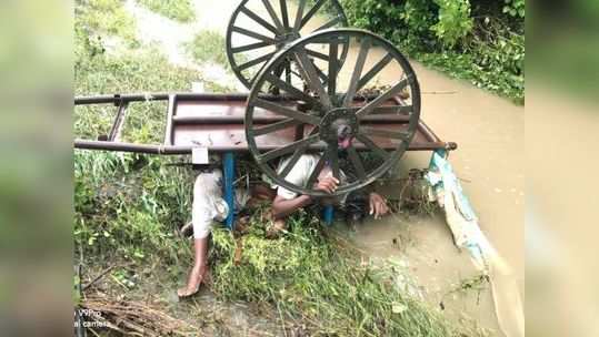 पावसाचं रौद्ररुप! मुसळधार पावसामुळे बैलगाडीसह शेतकरी गेला वाहून