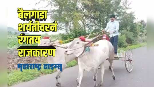 Bullock cart race : बैलगाडा शर्यत होऊ नये म्हणून पोलिसांची नाकाबंदी