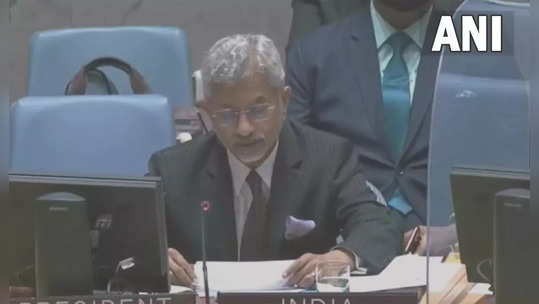 india at unsc : 'काही देश दहशतवादाला खतपाणी घालताहेत', UN मध्ये भारताचा चीन, पाकवर निशाणा