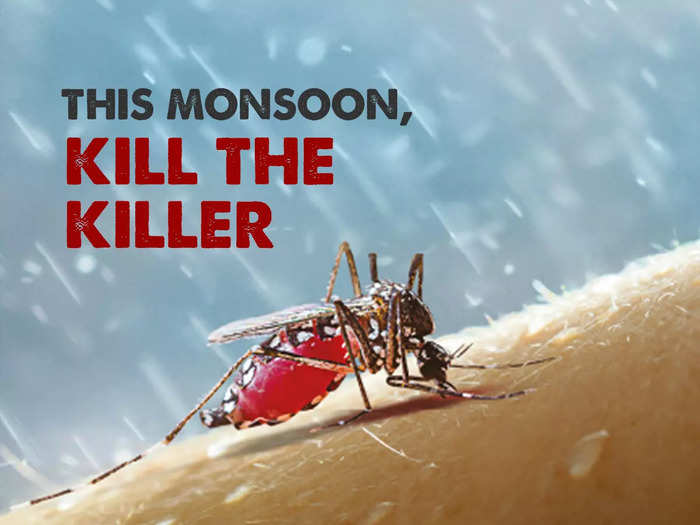 World Mosquito Day 2021