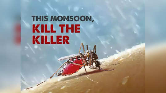 World Mosquito Day 2021: डेंग्यू व मलेरियापासून कसा बचाव करावा? जाणून घ्या महत्त्वपूर्ण टिप्स