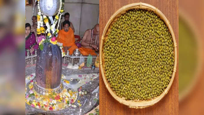 Third Shravan Somvar 2021 तिसरा श्रावणी सोमवार : शिवामूठ वाहण्याची योग्य पद्धत आणि मंत्र