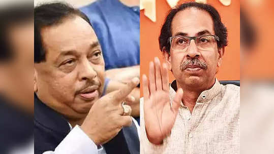 rane criticizes cm thackeray: मुख्यमंत्री उद्धव ठाकरे यांच्याबाबत बोलताना नारायण राणे यांची जीभ घसरली, सेनानेते खवळले