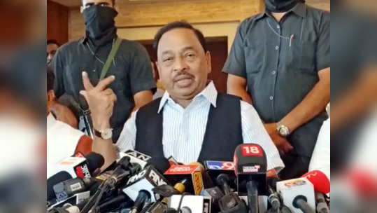 Narayan Rane: माझे शब्द बरोबर आहेत!; फडणवीसांच्या 'त्या' सल्ल्यावर राणेंचं तीरकस उत्तर