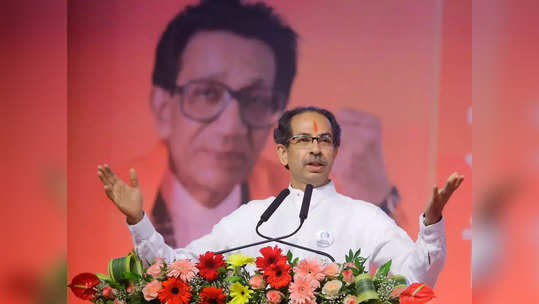 criticism on cm uddhav thackeray: मुख्यमंत्री ठाकरे, संजय राऊत यांच्यावर गुन्हे दाखल करा; भाजप महिला आमदाराची मागणी