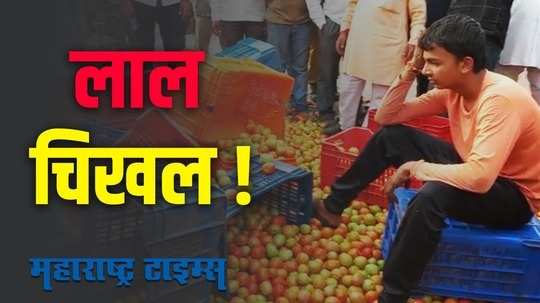 Tomato : बाजारभाव कोसळल्याने शेतकऱ्याने रस्त्यावर फेकले टोमॅटो