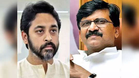 nilesh rane vs sanjay raut: संजय राऊत यांचा दिसतील तेथे करेक्ट कार्यक्रम करणार; नीलेश राणेंचा इशारा