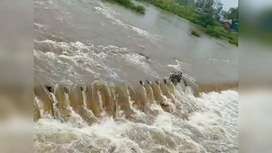 Jalgaon Rains: चाळीसगावकरांची झोप उडाली; एकाच दिवशी तब्बल १२३ मि.मी. पाऊस!