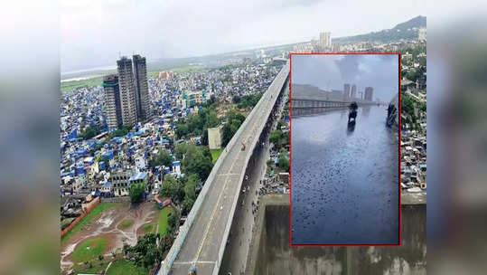 तरुणाच्या मृत्यूनंतर पालिकेला जाग; घाटकोपर-मानखुर्द उड्डाणपुलासाठी प्रशासनानं उचलली कठोर पावलं